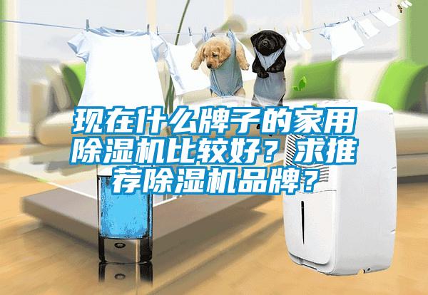 現(xiàn)在什么牌子的家用除濕機(jī)比較好？求推薦除濕機(jī)品牌？