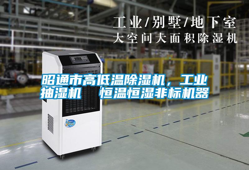 昭通市高低溫除濕機，工業(yè)抽濕機  恒溫恒濕非標機器