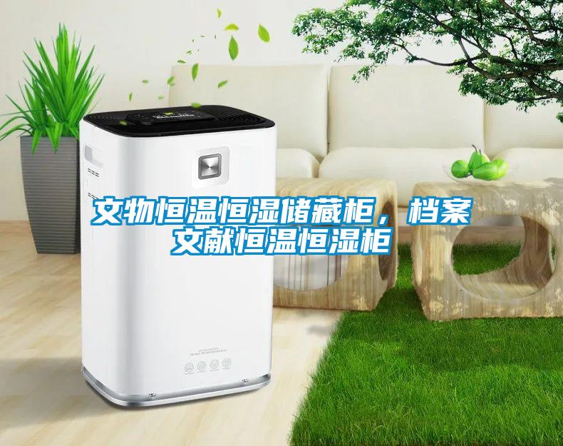 文物恒溫恒濕儲藏柜，檔案文獻恒溫恒濕柜