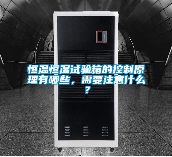 恒溫恒濕試驗(yàn)箱的控制原理有哪些，需要注意什么？