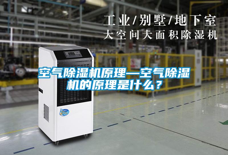 空氣除濕機(jī)原理—空氣除濕機(jī)的原理是什么？