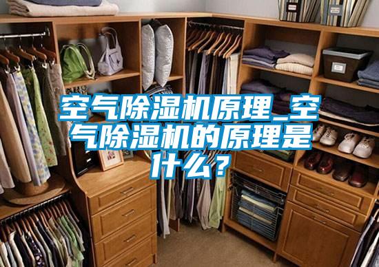 空氣除濕機(jī)原理_空氣除濕機(jī)的原理是什么？