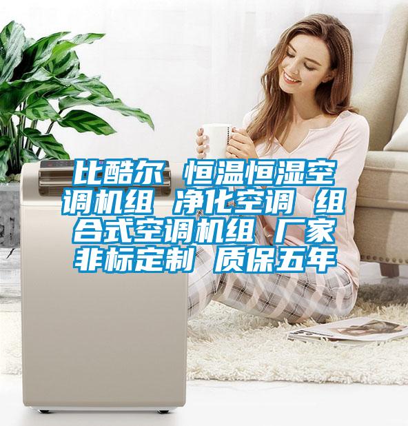 比酷爾 恒溫恒濕空調(diào)機組 凈化空調(diào) 組合式空調(diào)機組 廠家非標定制 質(zhì)保五年