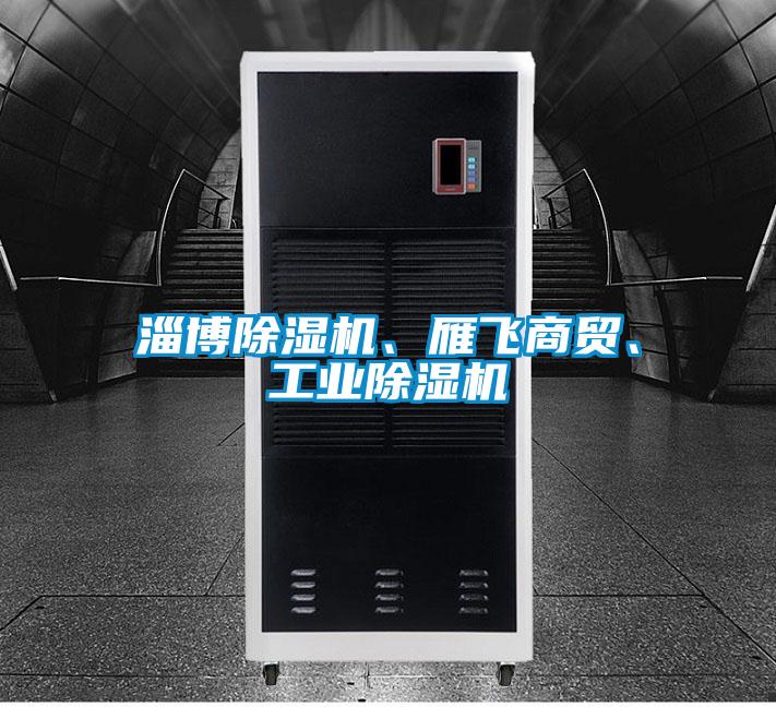 淄博除濕機、雁飛商貿(mào)、工業(yè)除濕機