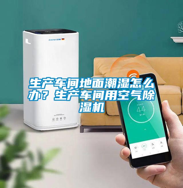 生產(chǎn)車間地面潮濕怎么辦？生產(chǎn)車間用空氣除濕機(jī)