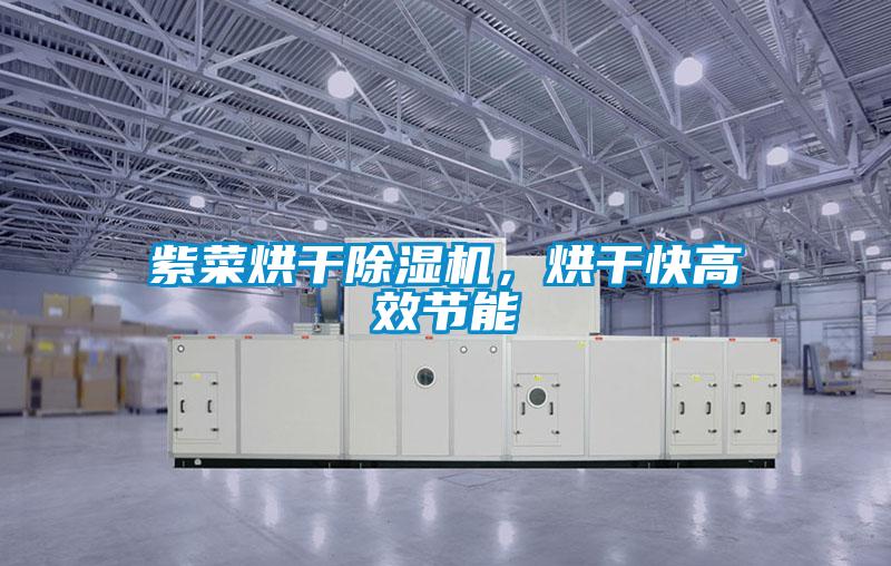 紫菜烘干除濕機(jī)，烘干快高效節(jié)能