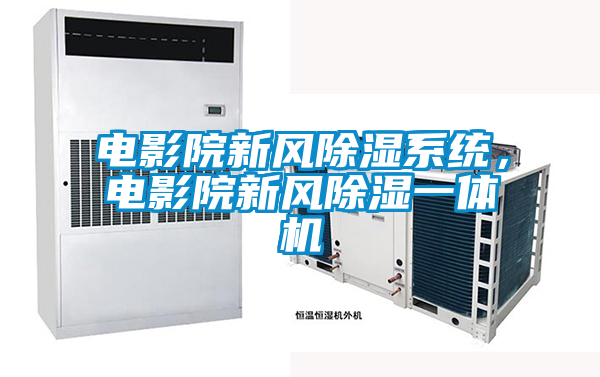 電影院新風(fēng)除濕系統(tǒng)，電影院新風(fēng)除濕一體機(jī)