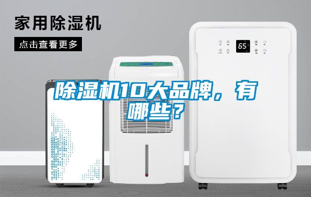 除濕機(jī)10大品牌，有哪些？