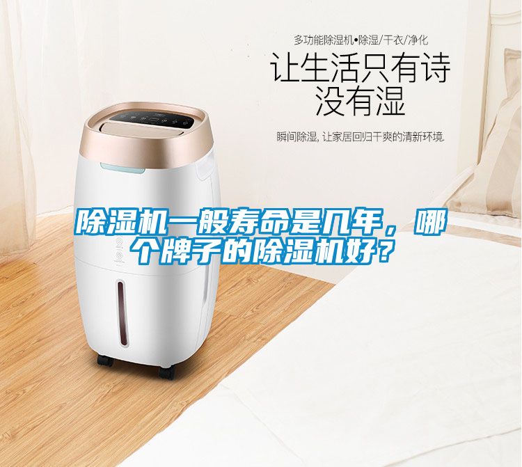 除濕機一般壽命是幾年，哪個牌子的除濕機好？