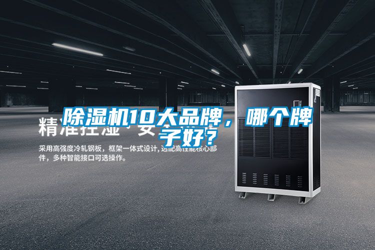 除濕機(jī)10大品牌，哪個(gè)牌子好？