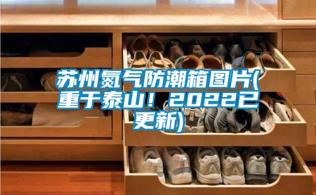 蘇州氮氣防潮箱圖片(重于泰山！2022已更新)