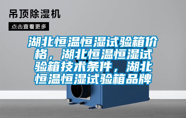 湖北恒溫恒濕試驗箱價格，湖北恒溫恒濕試驗箱技術(shù)條件，湖北恒溫恒濕試驗箱品牌