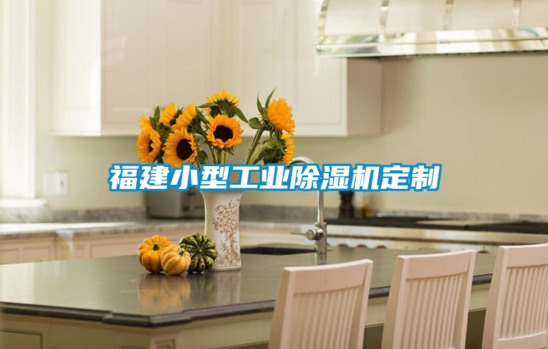 福建小型工業(yè)除濕機定制