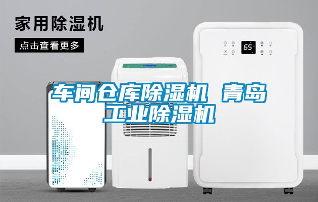 車間倉庫除濕機(jī) 青島工業(yè)除濕機(jī)