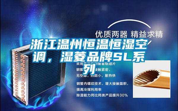 浙江溫州恒溫恒濕空調(diào)，濕菱品牌SL系列