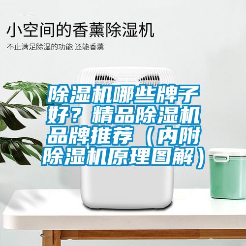 除濕機哪些牌子好？精品除濕機品牌推薦（內附除濕機原理圖解）