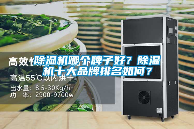 除濕機(jī)哪個(gè)牌子好？除濕機(jī)十大品牌排名如何？