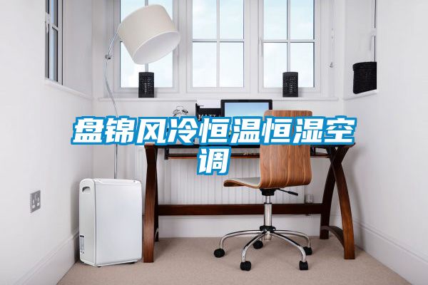 盤錦風冷恒溫恒濕空調(diào)