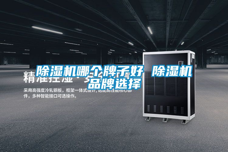 除濕機哪個牌子好 除濕機品牌選擇