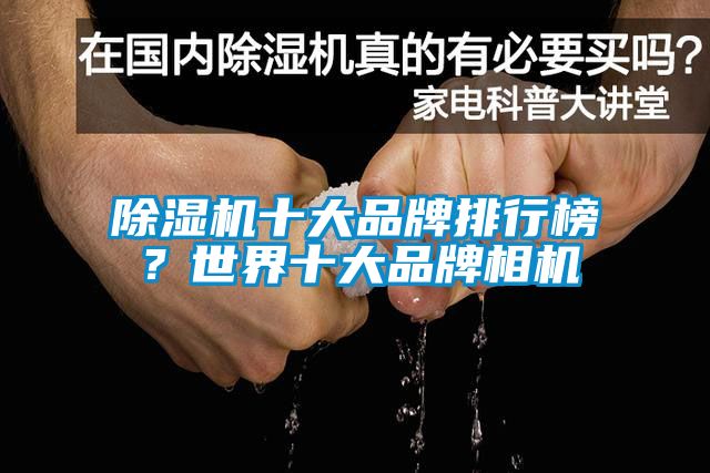 除濕機(jī)十大品牌排行榜？世界十大品牌相機(jī)