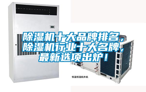 除濕機(jī)十大品牌排名，除濕機(jī)行業(yè)十大名牌，最新選項(xiàng)出爐！