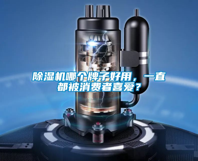 除濕機(jī)哪個(gè)牌子好用，一直都被消費(fèi)者喜愛？