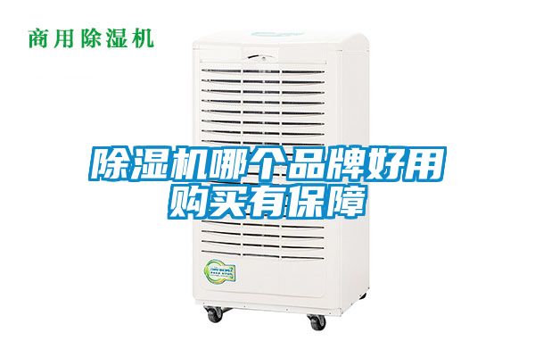 除濕機(jī)哪個(gè)品牌好用購(gòu)買有保障