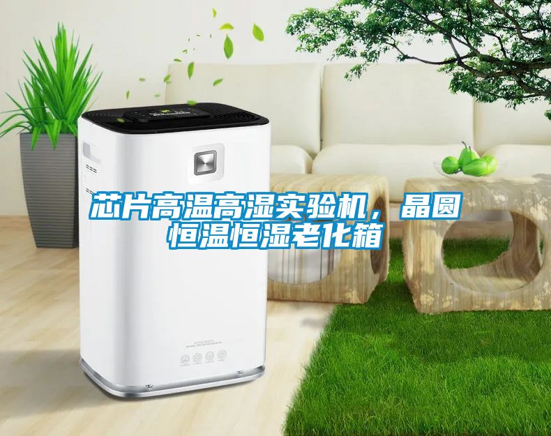 芯片高溫高濕實(shí)驗(yàn)機(jī)，晶圓恒溫恒濕老化箱