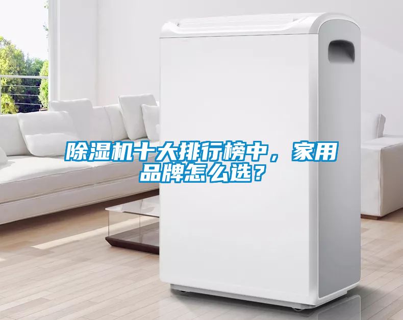 除濕機(jī)十大排行榜中，家用品牌怎么選？