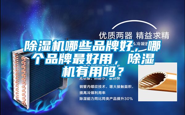 除濕機哪些品牌好，哪個品牌最好用，除濕機有用嗎？