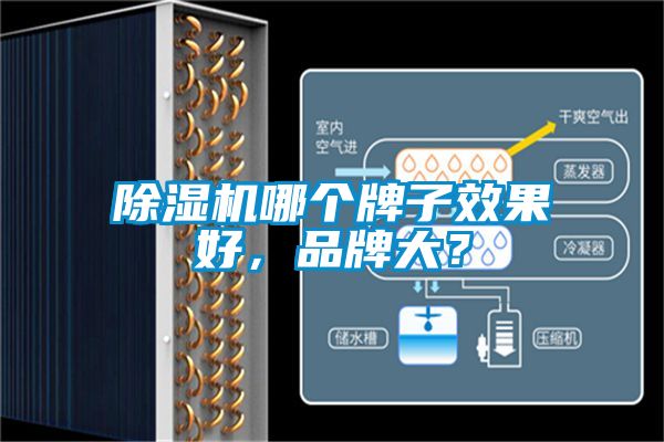 除濕機(jī)哪個(gè)牌子效果好，品牌大？