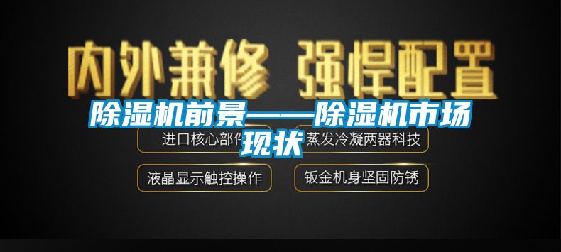 除濕機(jī)前景——除濕機(jī)市場現(xiàn)狀‍‍