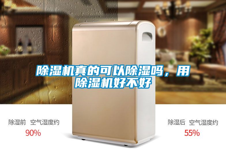 除濕機真的可以除濕嗎，用除濕機好不好