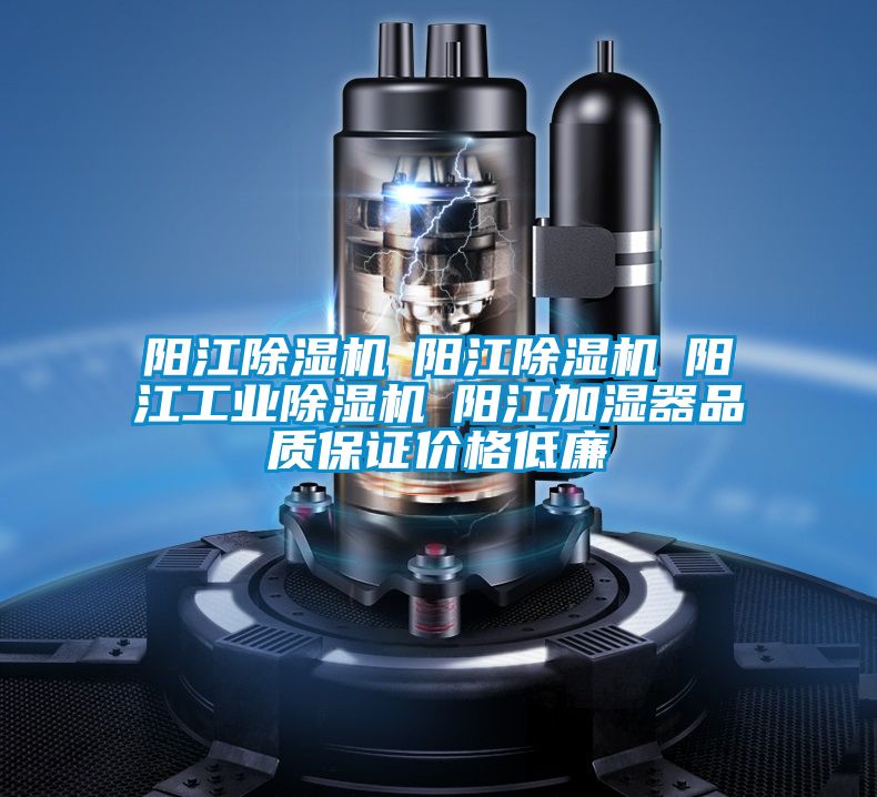 陽(yáng)江除濕機(jī)☆陽(yáng)江除濕機(jī)☆陽(yáng)江工業(yè)除濕機(jī)☆陽(yáng)江加濕器品質(zhì)保證價(jià)格低廉