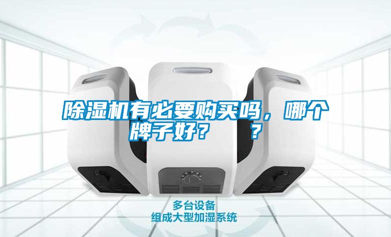 除濕機有必要購買嗎，哪個牌子好？  ？