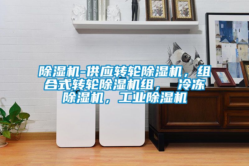 除濕機(jī)-供應(yīng)轉(zhuǎn)輪除濕機(jī)，組合式轉(zhuǎn)輪除濕機(jī)組， 冷凍除濕機(jī)，工業(yè)除濕機(jī)