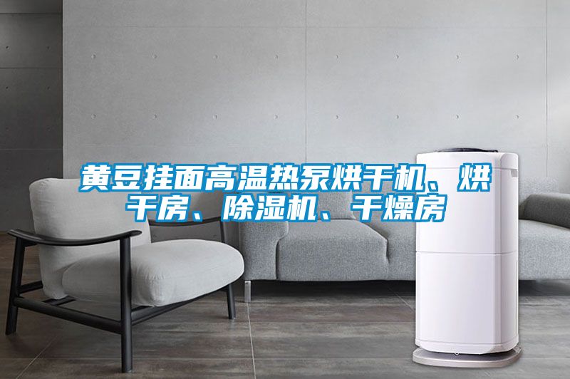 黃豆掛面高溫?zé)岜煤娓蓹C(jī)、烘干房、除濕機(jī)、干燥房