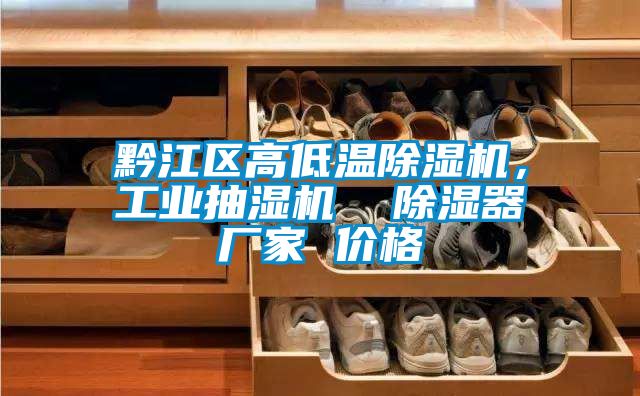 黔江區(qū)高低溫除濕機(jī)，工業(yè)抽濕機(jī)  除濕器廠家 價格