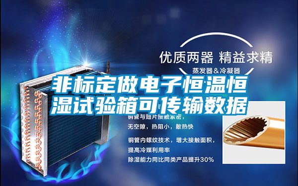 非標(biāo)定做電子恒溫恒濕試驗箱可傳輸數(shù)據(jù)