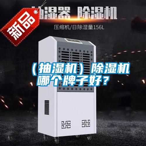 （抽濕機(jī)）除濕機(jī)哪個(gè)牌子好？