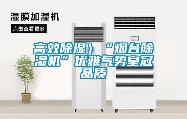 高效除濕）“煙臺(tái)除濕機(jī)”優(yōu)雅氣勢(shì)皇冠品質(zhì)