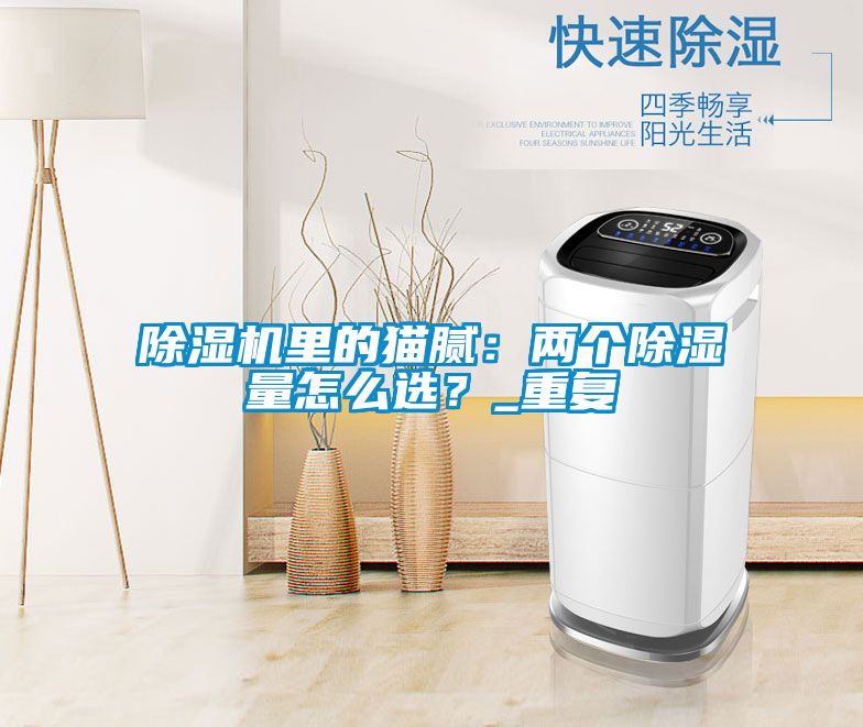 除濕機里的貓膩：兩個除濕量怎么選？_重復