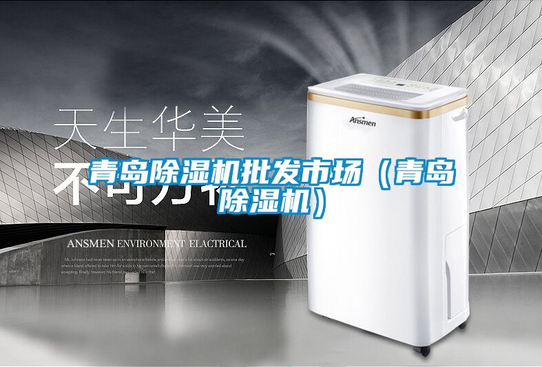 青島除濕機批發(fā)市場（青島除濕機）