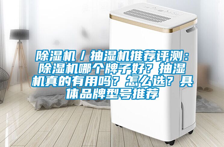 除濕機／抽濕機推薦評測：除濕機哪個牌子好？抽濕機真的有用嗎？怎么選？具體品牌型號推薦
