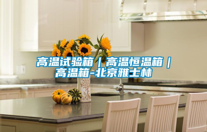 高溫試驗(yàn)箱｜高溫恒溫箱｜高溫箱-北京雅士林