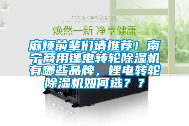麻煩前輩們請推薦！南寧商用鋰電轉(zhuǎn)輪除濕機有哪些品牌，鋰電轉(zhuǎn)輪除濕機如何選？？