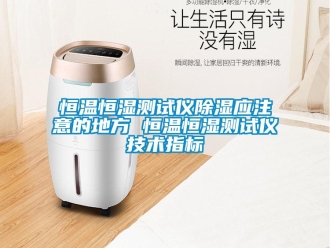知識百科恒溫恒濕測試儀除濕應注意的地方 恒溫恒濕測試儀技術(shù)指標