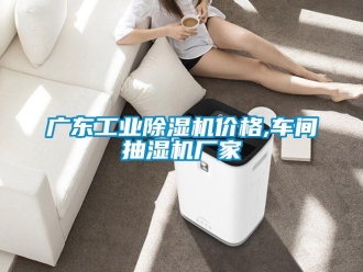 企業(yè)新聞廣東工業(yè)除濕機價格,車間抽濕機廠家