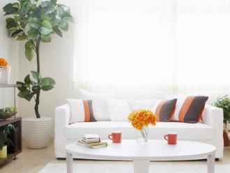 常見問題檔案室除濕機(jī)讓存儲變的簡單輕松