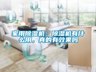 常見問題家用除濕機(jī)：除濕機(jī)有什么用，真的有效果嗎